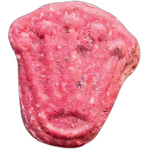 Rolex pill — MDMA (34mg); Caffeine (127mg) — Berlin, Germany
