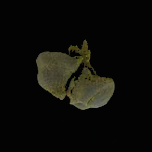 Delta-8-THC; THC; CBD — Швейцарія