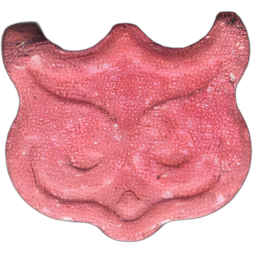 Comprimé Trip Advisor — MDMA (161mg) — Madrid, Espagne