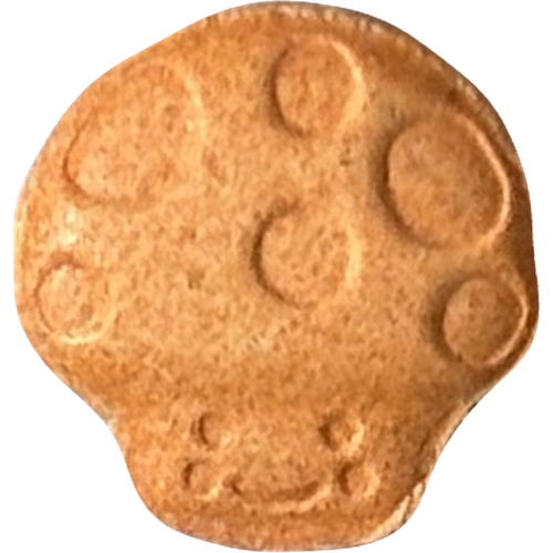 Mushroom-pille — 2