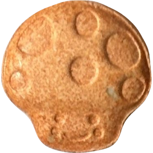Mushroom pill — MDMA (173mg) — Slovenia