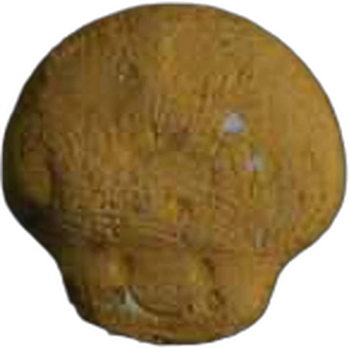 Mushroom pill — MDMA — Switzerland