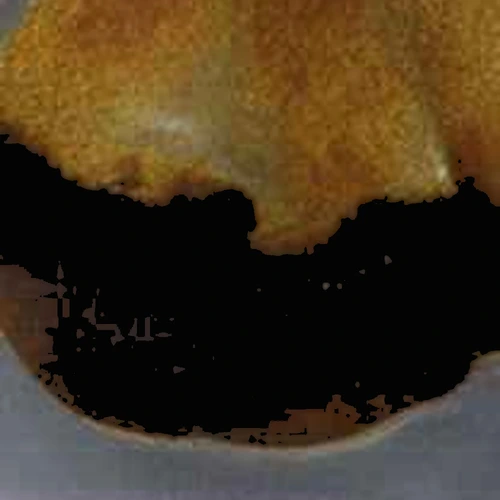 MDMB-PINACA; CBD; THC — Šveice