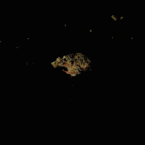 THC; MDMB-PINACA; CBD; CBG — Berlin, Vokietija