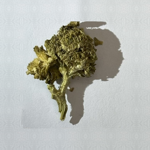 MDMB-PINACA; MDMB-INACA; MADMB-4en-PINACA; H4-CBD; HHC; THC — Maribor, Eslovenia