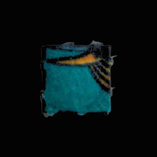 LSD (67µg); iso-LSD (3µg) — Aube (10), Frankrig