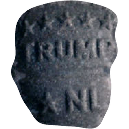 Таблетка Trump, NL — 2