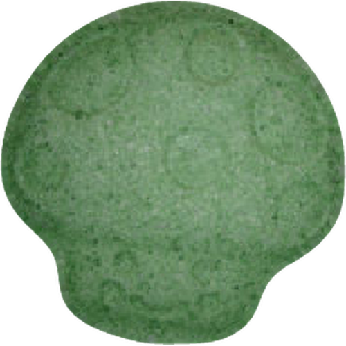 Mushroom tabletta — 2