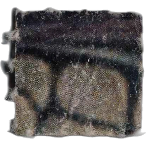LSD pill — 2