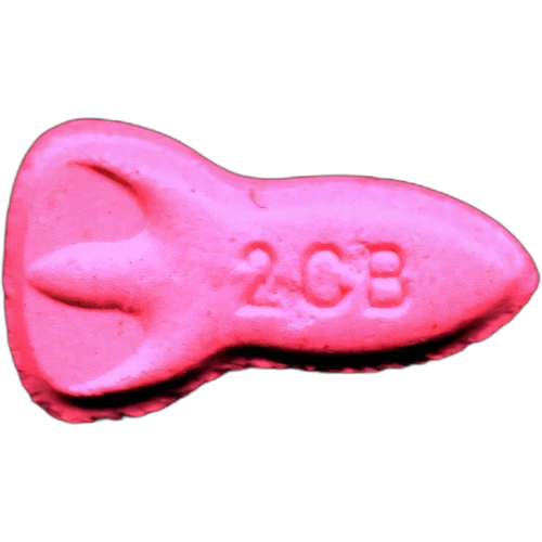 Comprimé NASA — 2