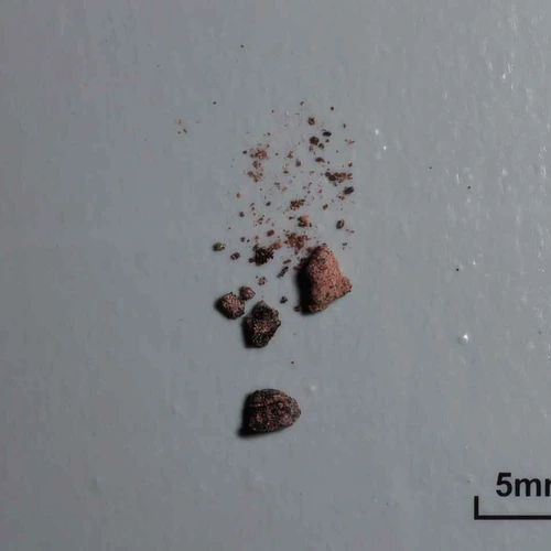 Heroin (5%); Caffeine (3%); 6-MAM (27%); Morphine; Unknown — Avignon, France