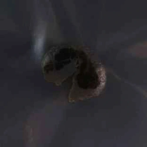 Delta-8-THC; THC; CBD; Unknown — Švajčiarsko