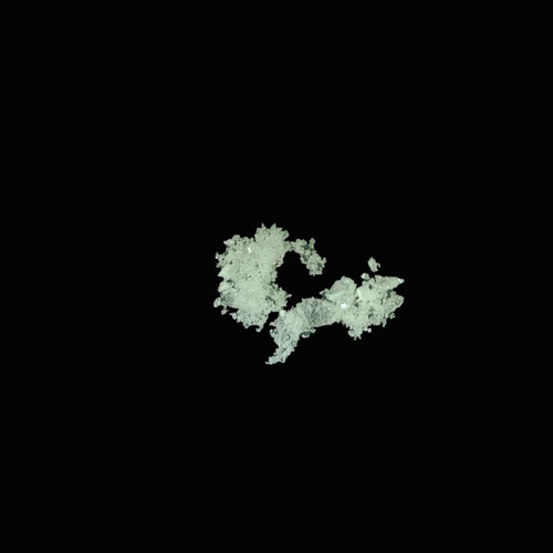 NEP (83.4%) — Graz, Austria