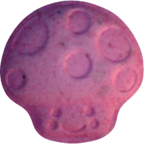 Pastilla Mushroom — MDMA (158mg) — Vienna, Austria