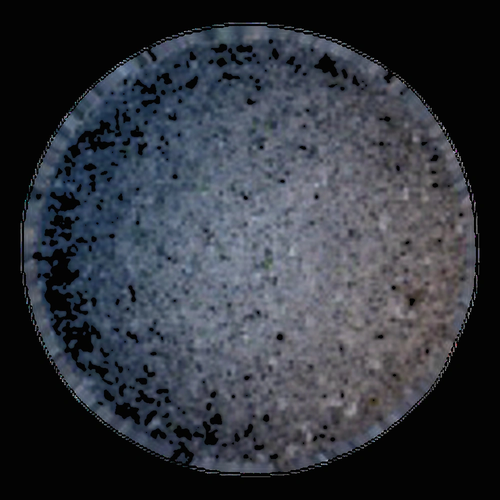 Unknown — Vienna, Østerrike