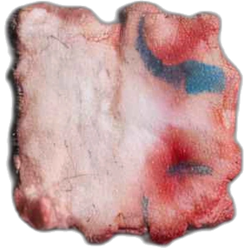 LSD (70µg) — Loire-Atlantique (44), Francia