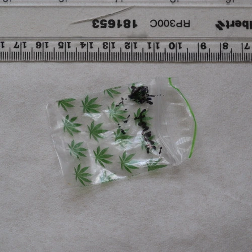 Nep pill — 2-MMC — Bristol; North Somerset (BS3), England