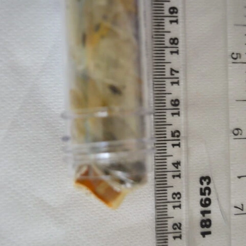THC — East Ayrshire (KA18), Ujedinjeno Kraljevstvo