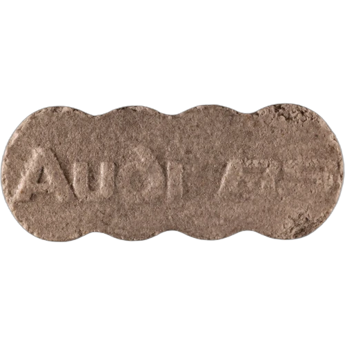 Piolla Audi RS — 2
