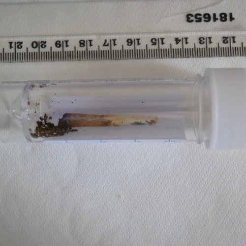 CBN; THC; CBG; Nicotine — North Northamptonshire; West Northamptonshire (NN3), England