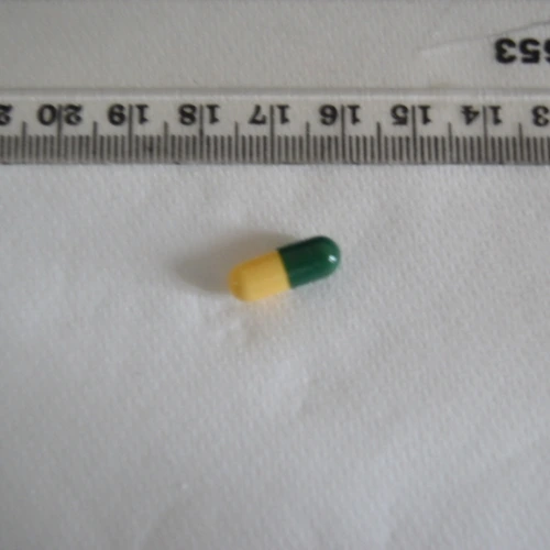 Tramadol Bristol Labs pill — Tramadol — Kensington and Chelsea (W8), England