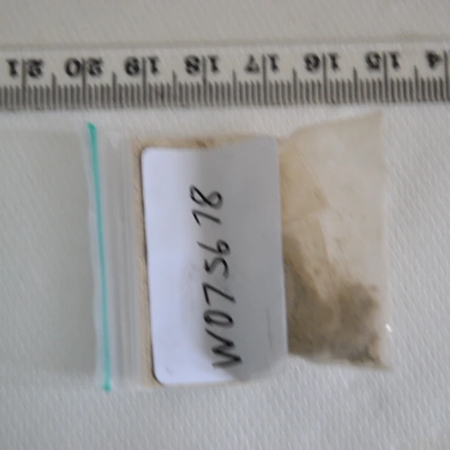 Psilocin — Cardiff (CF24), Wales