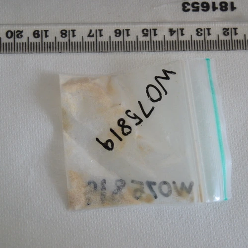 MDMA — Leeds (LS13), England