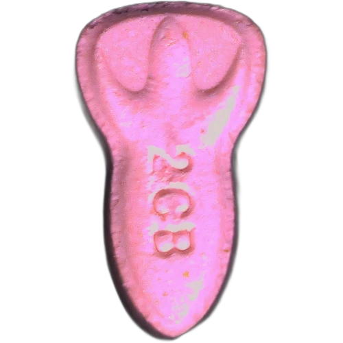 Piolla NASA — 2