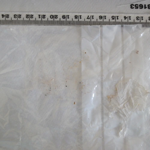 Cocaine; Noscapine; Heroin; Paracetamol; Caffeine; 6-Acetylcodeine; Papaverine; 6-MAM — Newport (NP20), Wales