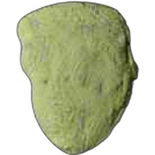 Piolla Trump — 2