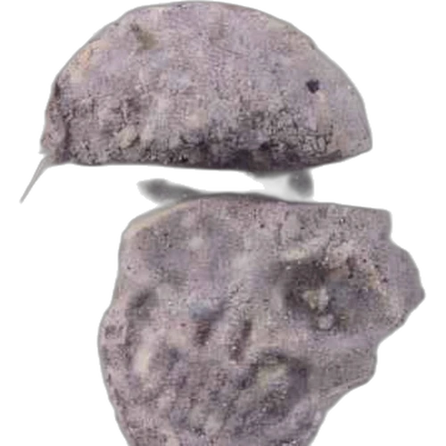 Skull pill — MDMA (217mg) — Zürich, Switzerland