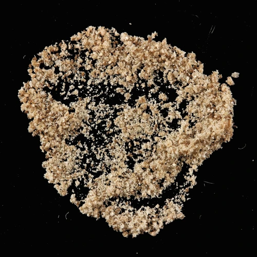 Dicloqualone — Zürich, Švýcarsko