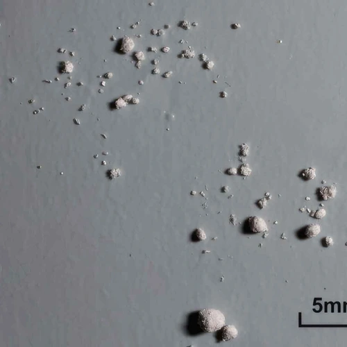 2C-B (70%); 2C-H; Unknown — Marseille, France