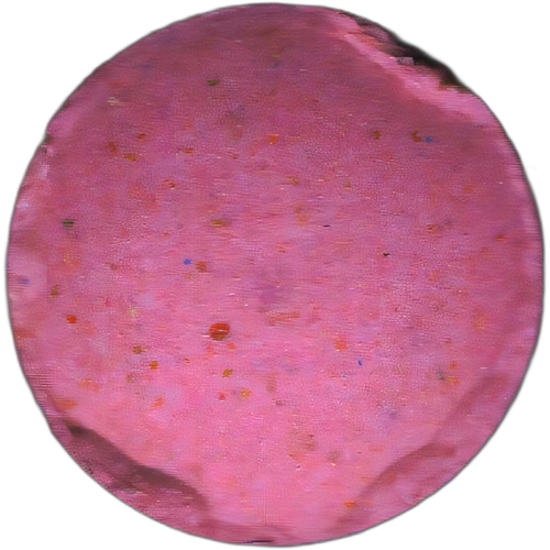 Piolla No Logo — 2