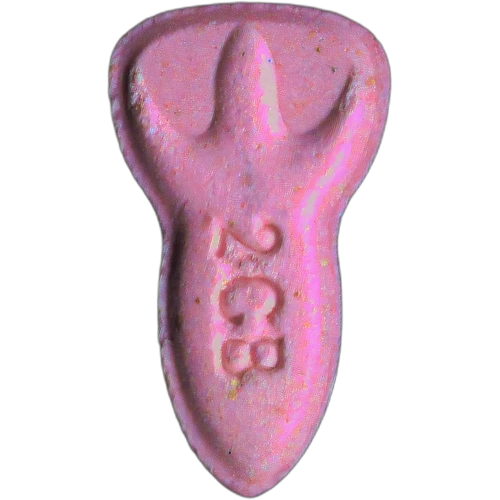 Piolla NASA — 2