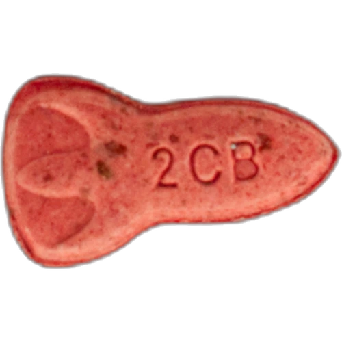 Piolla NASA — 2