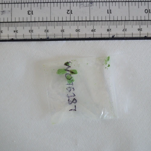 Χάπι Methallyescaline — Unknown — City of Edinburgh (EH1), Ηνωμένο Βασίλειο