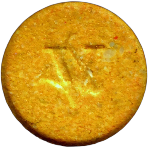 Piolla Medusa — 2