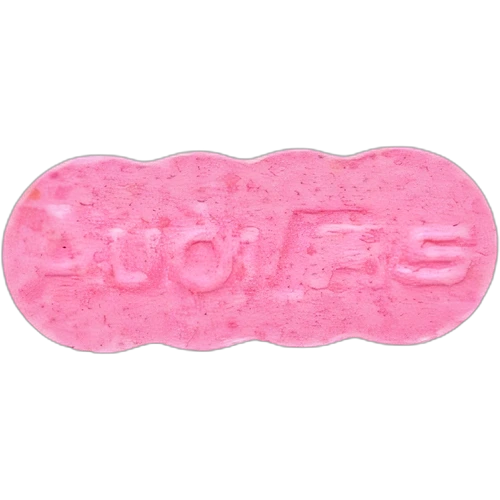 Piolla Audi — 2