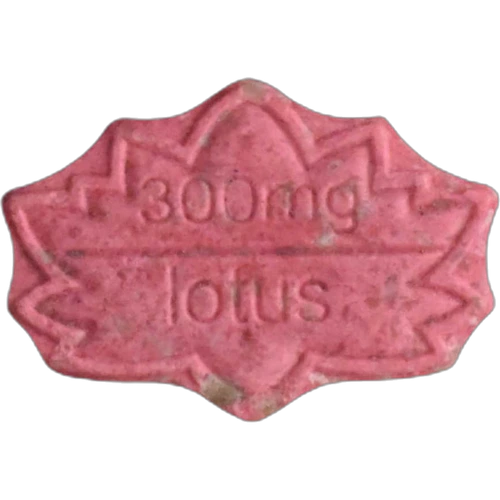 Piolla Lotus — 2