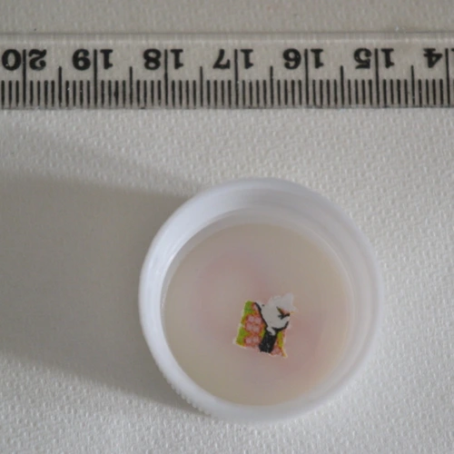 Tapentadol Tap Ash pill — Tapentadol — Coventry; Nuneaton and Bedworth; Rugby (CV2), England