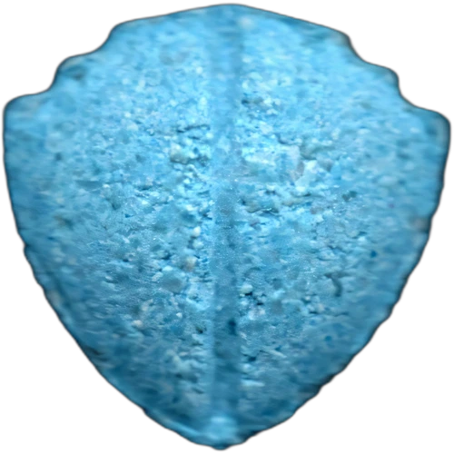 Piolla Warner Bros — 2