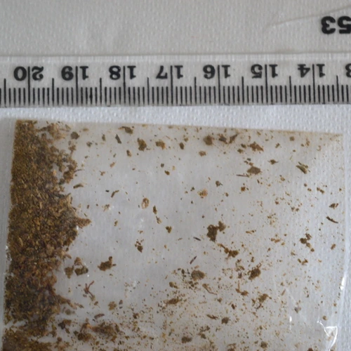 CBN; THC — Ceredigion; Pembrokeshire (SA43), Wales