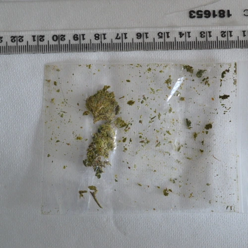 Cannabis — Ceredigion; Pembrokeshire (SA43), Wales
