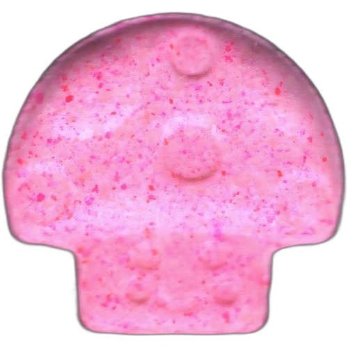 Mushroom tablete — 2