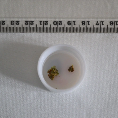CBG; CBN; THC — United Kingdom