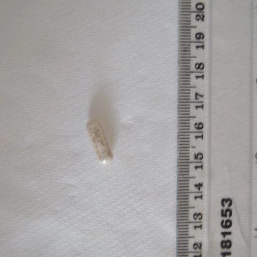 MDMA pill — MDMA — Harrow; Hillingdon (HA4), England