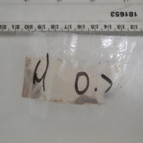Pastilă H 0.2 — Acetylcodeine; Heroin; 6-MAM; Noscapine; Caffeine; Papaverine — Cumberland; Scottish Borders (TD9), England; Scotland