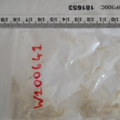 Psilocin — Belfast (BT4), Northern Ireland