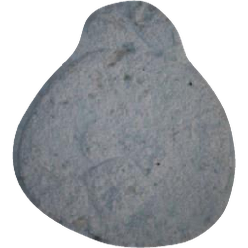 Angry Bird-pille — MDMA (132mg) — Vienna, Østrig